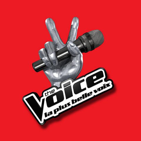 Mika “scappa” da X Factor Italia? Sarà giudice al The Voice francese.